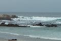Carmel 10-30-08 245